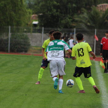 IMG_9984 (1)
